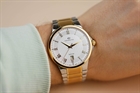Мужские кварцевые швейцарские часы с сапфировым стеклом - Continental 14201-GD312710