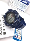Casio WS-1300H-2A WS-1300H-2A
