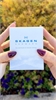Skagen 233XXLSLC 233XXLSLC